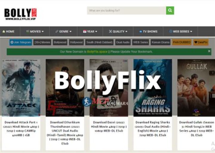 BollyFlix.com: Your Ultimate Destination for Bollywood Movies and Entertainment